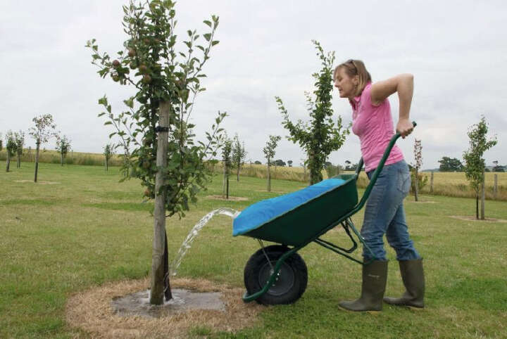 Wasserbehälter für Schubkarre H2GoBag